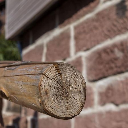 Saunaloft Schwarzwald Gemeinde Gemeinde Aichhalden Exteriör bild