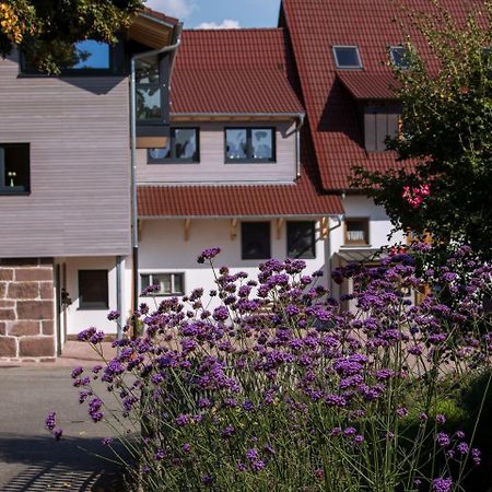 Saunaloft Schwarzwald Gemeinde Gemeinde Aichhalden Exteriör bild