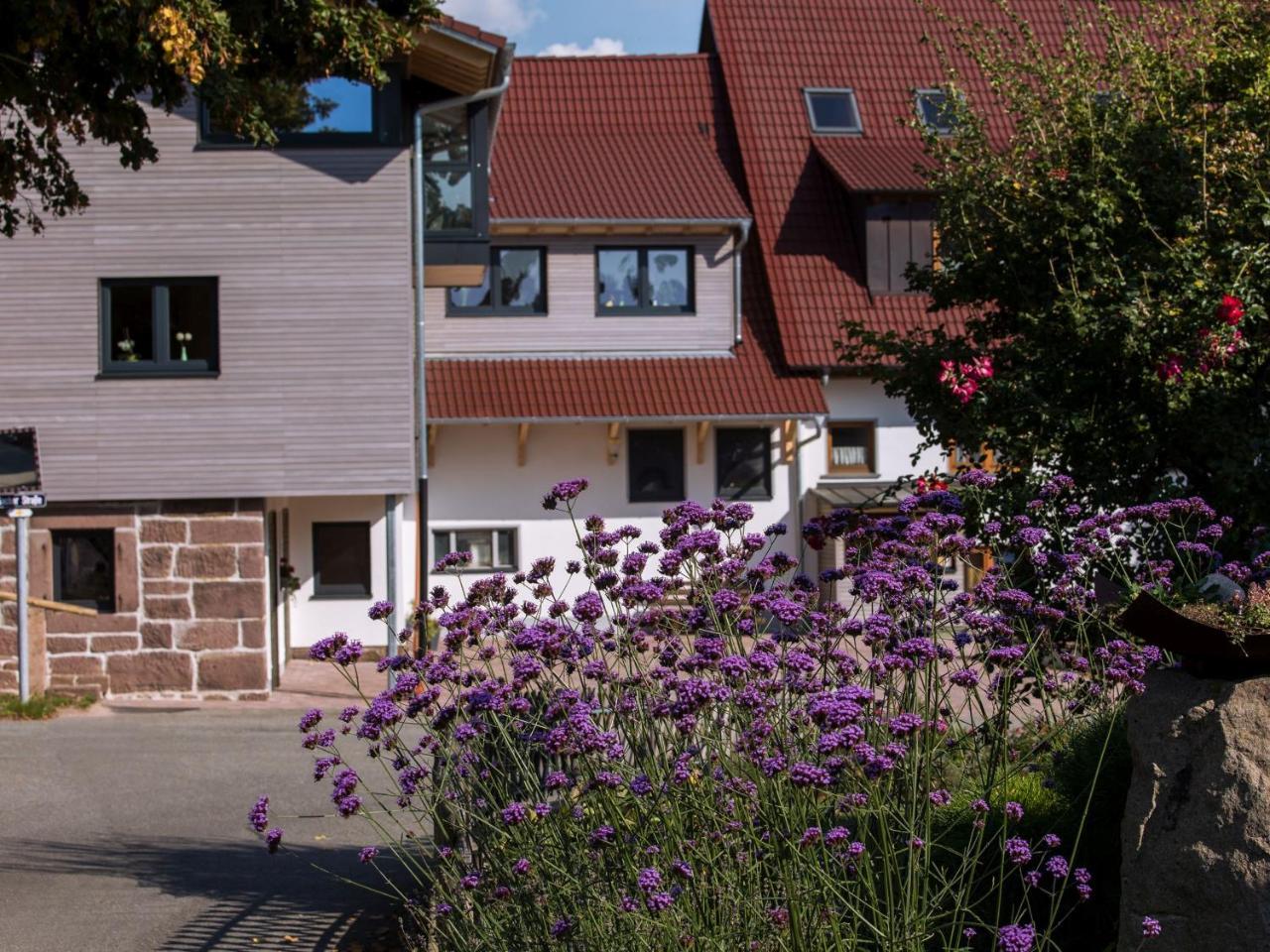 Saunaloft Schwarzwald Gemeinde Gemeinde Aichhalden Exteriör bild
