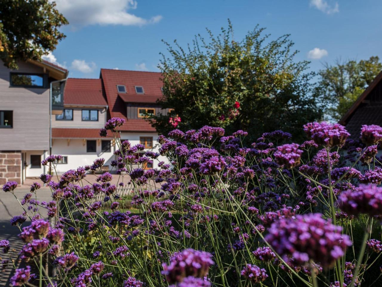 Saunaloft Schwarzwald Gemeinde Gemeinde Aichhalden Exteriör bild