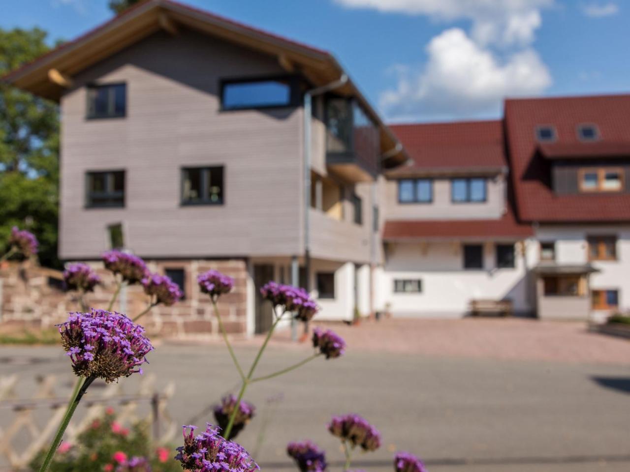 Saunaloft Schwarzwald Gemeinde Gemeinde Aichhalden Exteriör bild