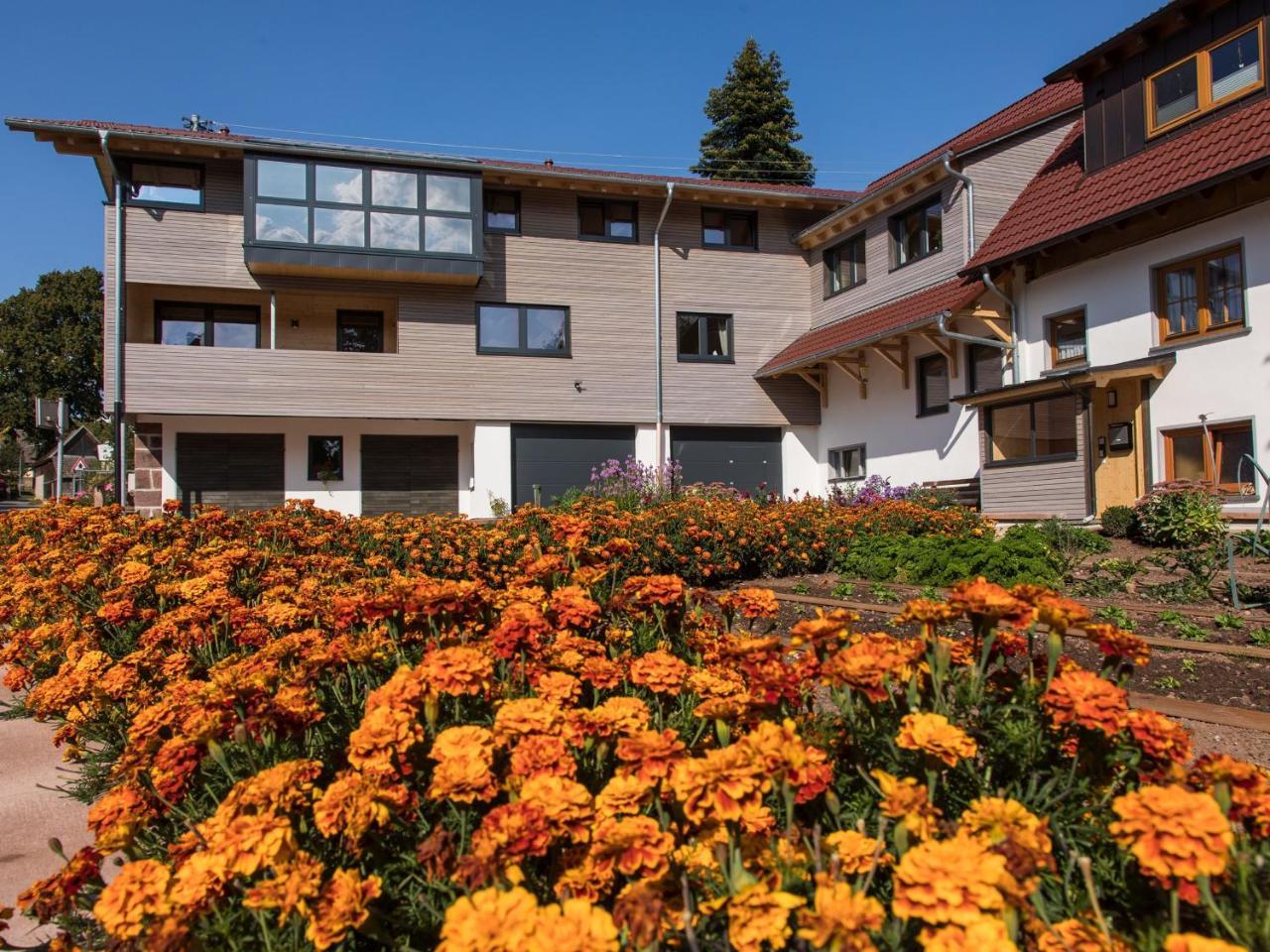 Saunaloft Schwarzwald Gemeinde Gemeinde Aichhalden Exteriör bild